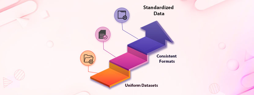 Data Standardization