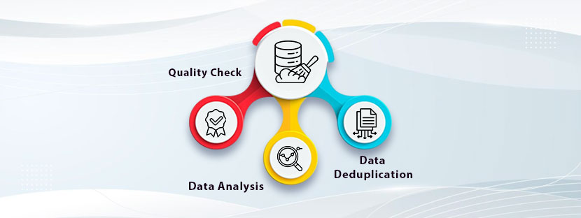 Data Scrubber Role