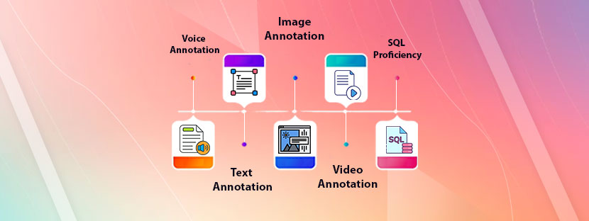 Data Annotation Skills