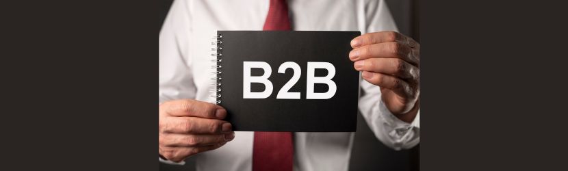 Things Included in B2B Sales Lead Lists