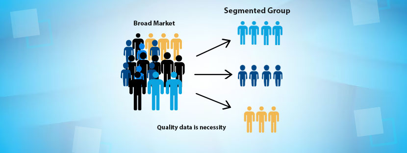 Data Quality in Market Segmentation
