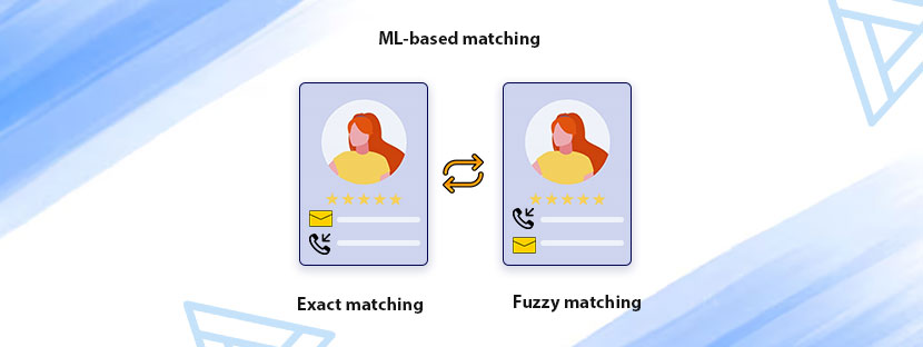 Data Matching Techniques