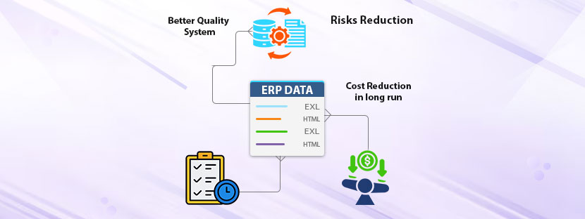 ERP implementation risks
