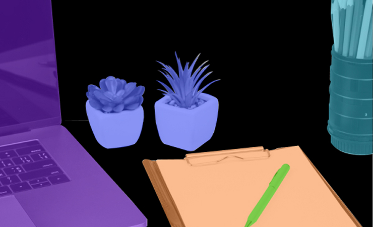 Instance Segementation