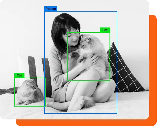 Models to Identify Objects