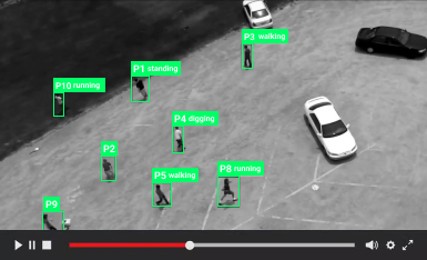 Video Action Detection